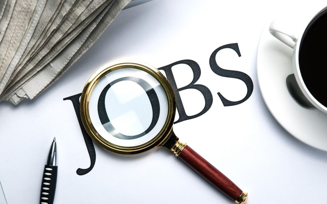 Jobs: We are looking for a Programme Officer
