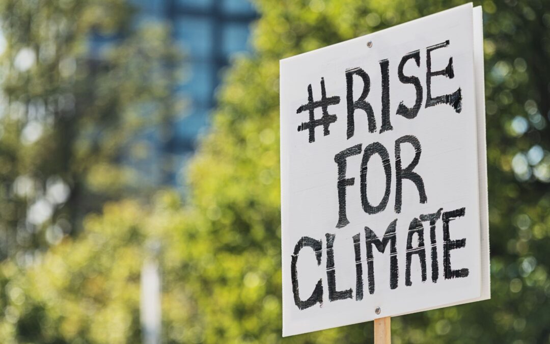 Introducing cross-sectoral climate adaptation systems