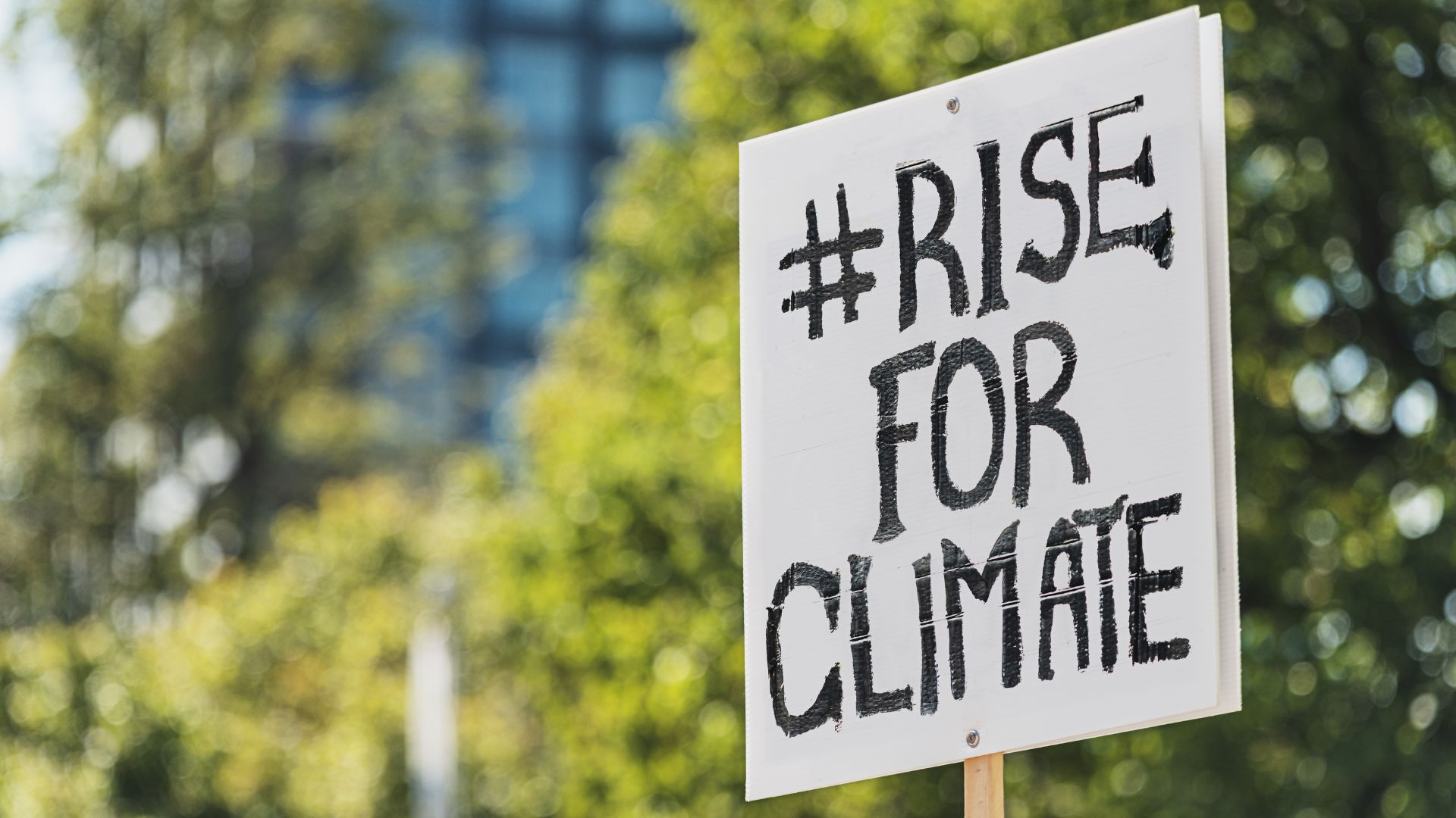 Introducing cross-sectoral climate adaptation systems