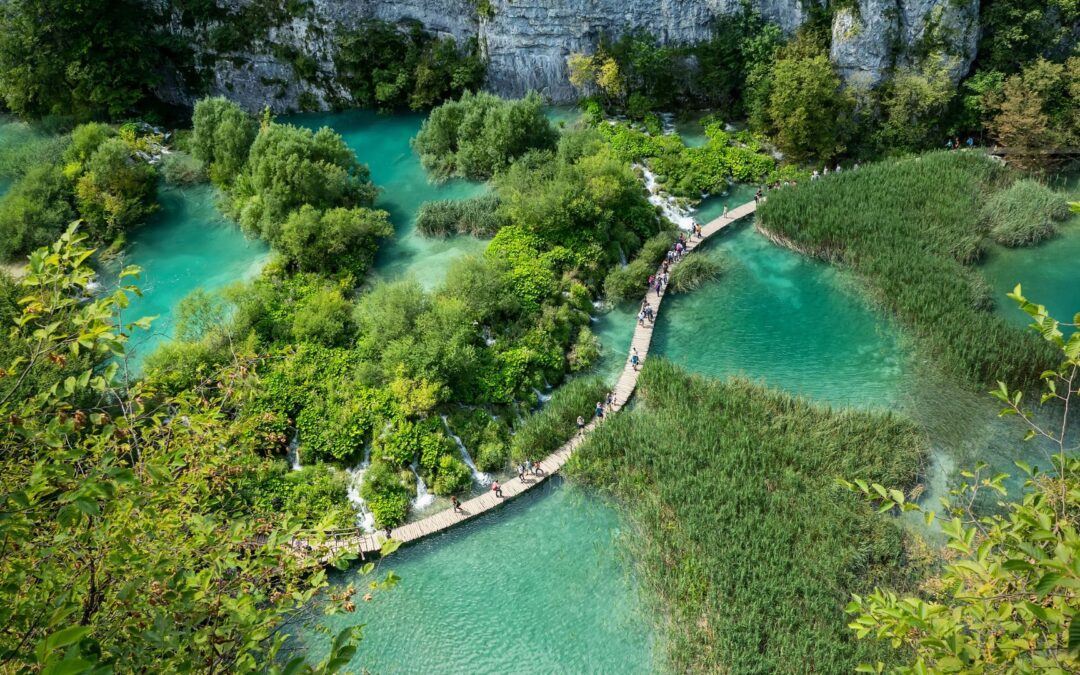 Sheltering protected areas for and with tourists