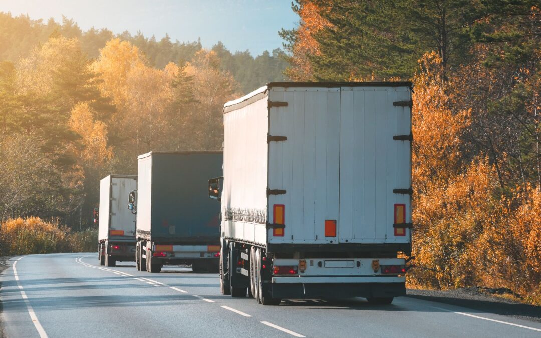 Connecting regions to European transport networks