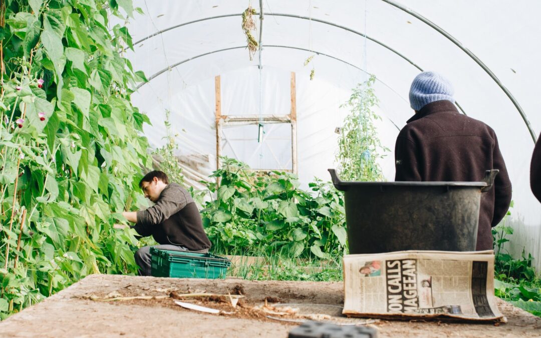 Boosting carbon farming in central Europe