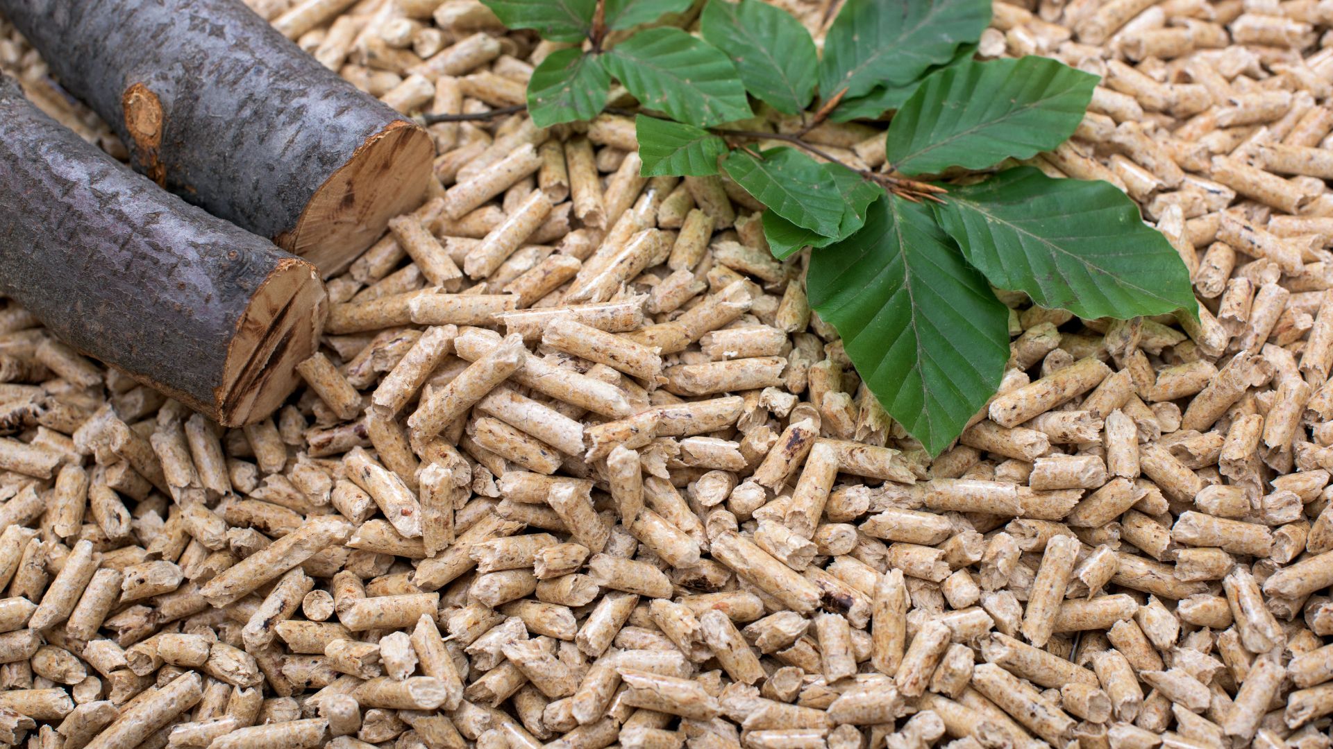 Creating a market for biomass products