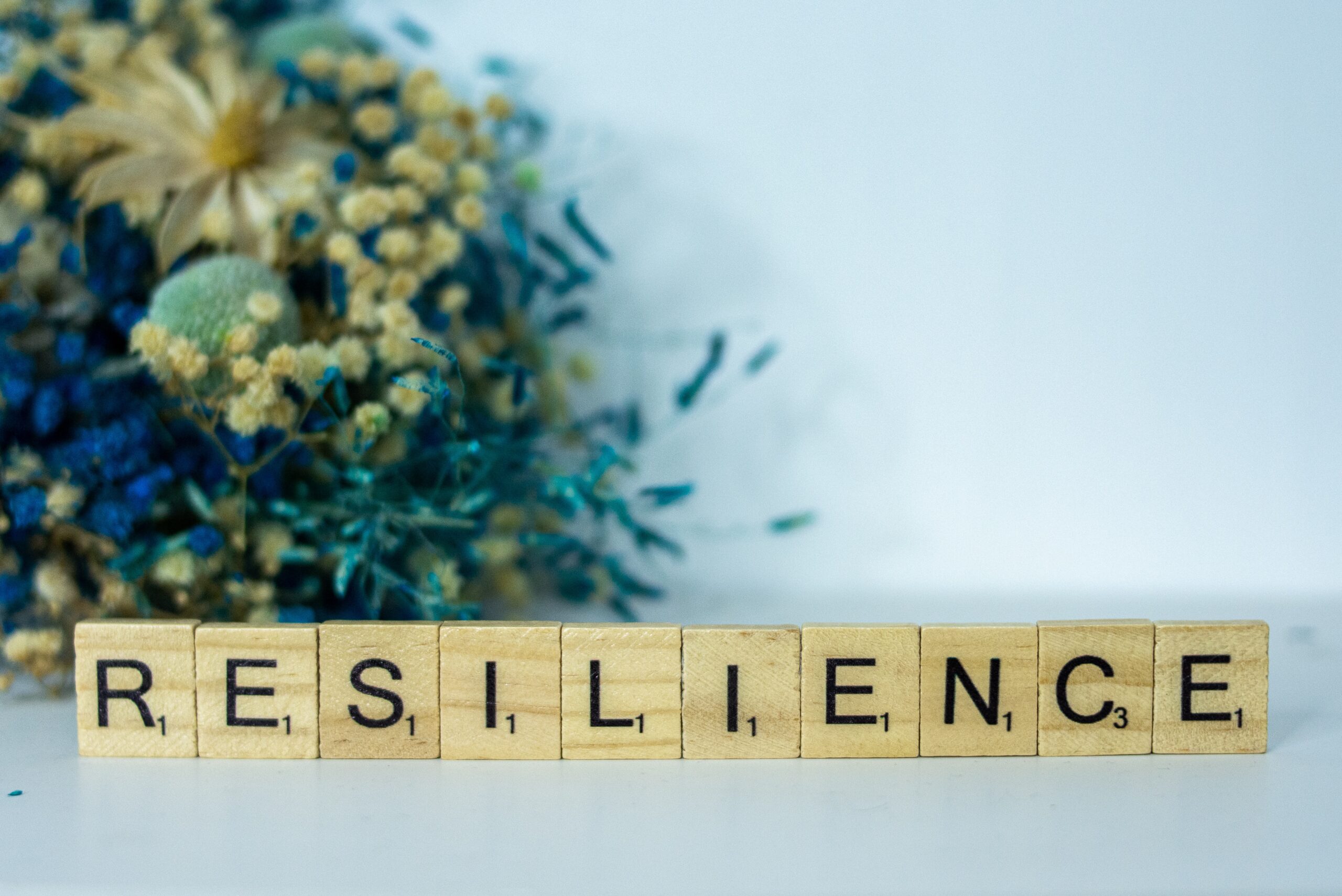 Resilience word