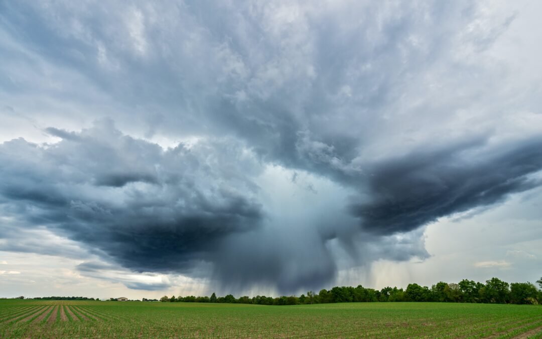 Central European Project Consortium Takes Bold Steps Towards Climate-Resilient Communities