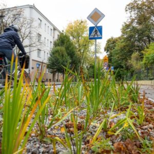 Five pilot cities for an innovative project: transforming grey areas into green places