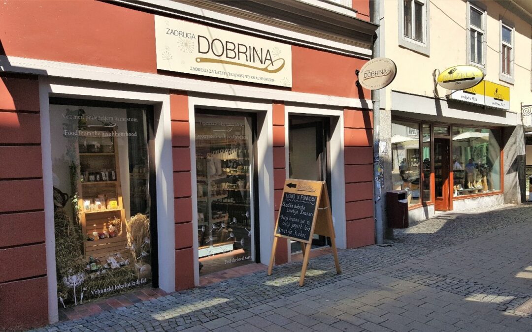 Virtual study visit Slovenia- “Creating Conditions for Social Economy and Social Innovation in Podravje region & Slovenia.”