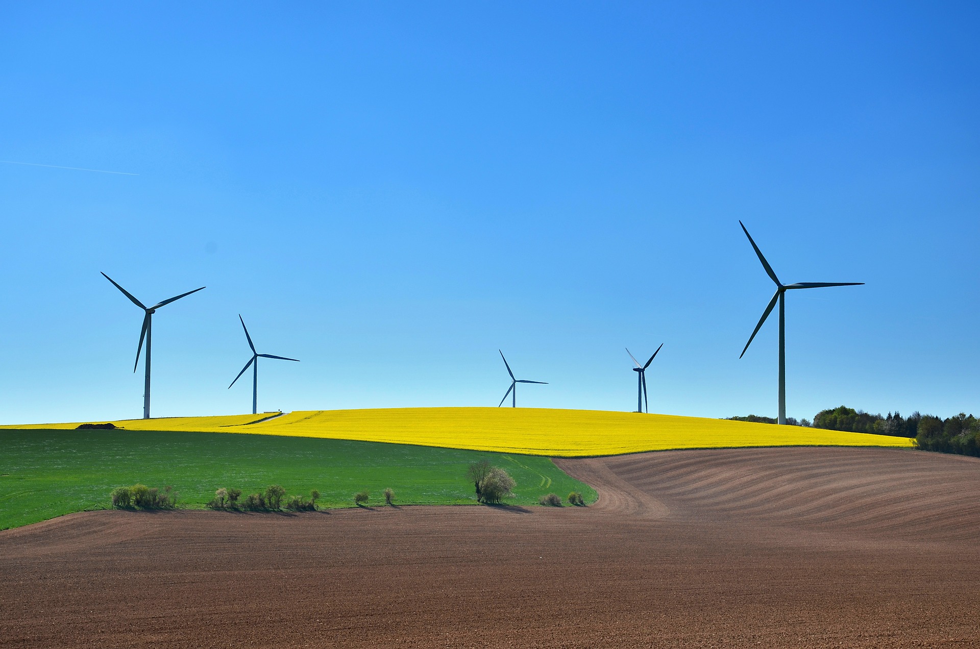 Wind turbines in the field