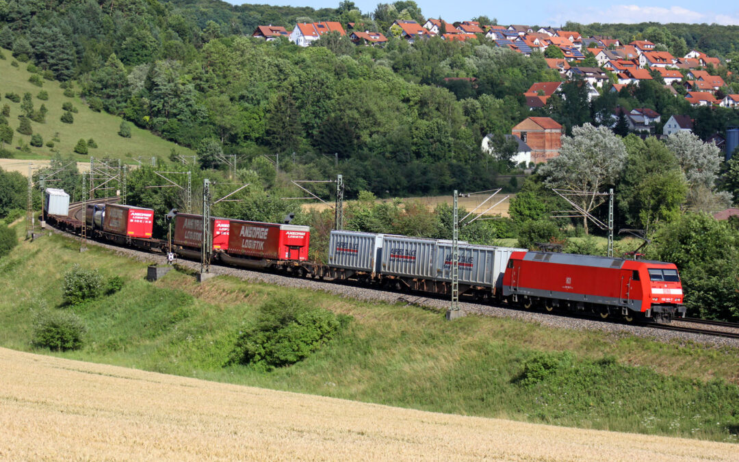 Final stakeholder event Novara province