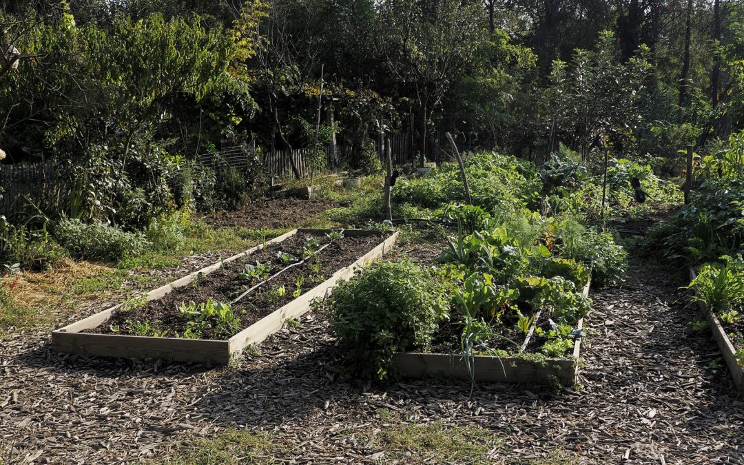 Guided tour of the wonderful garden of Orti Generali