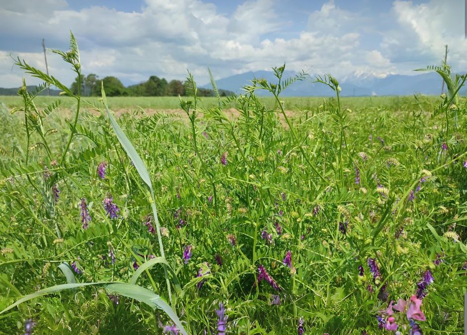 Carbon Farming CE concludes with practical tools and lasting cooperation across central Europe