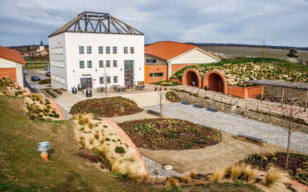 Explore the stunning natural beauty around Podyjí National Park – CZEPA tip