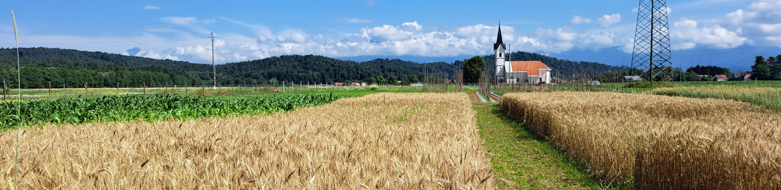 Boosting carbon farming in central Europe