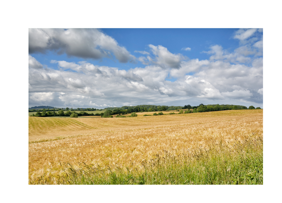 Carbon Farming CE Project Meeting in Pulawy, Poland