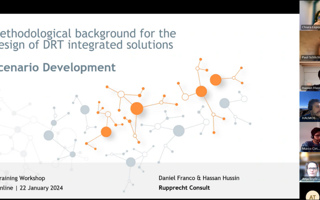 News from DREAM_PACE Scenario Development Webinar!