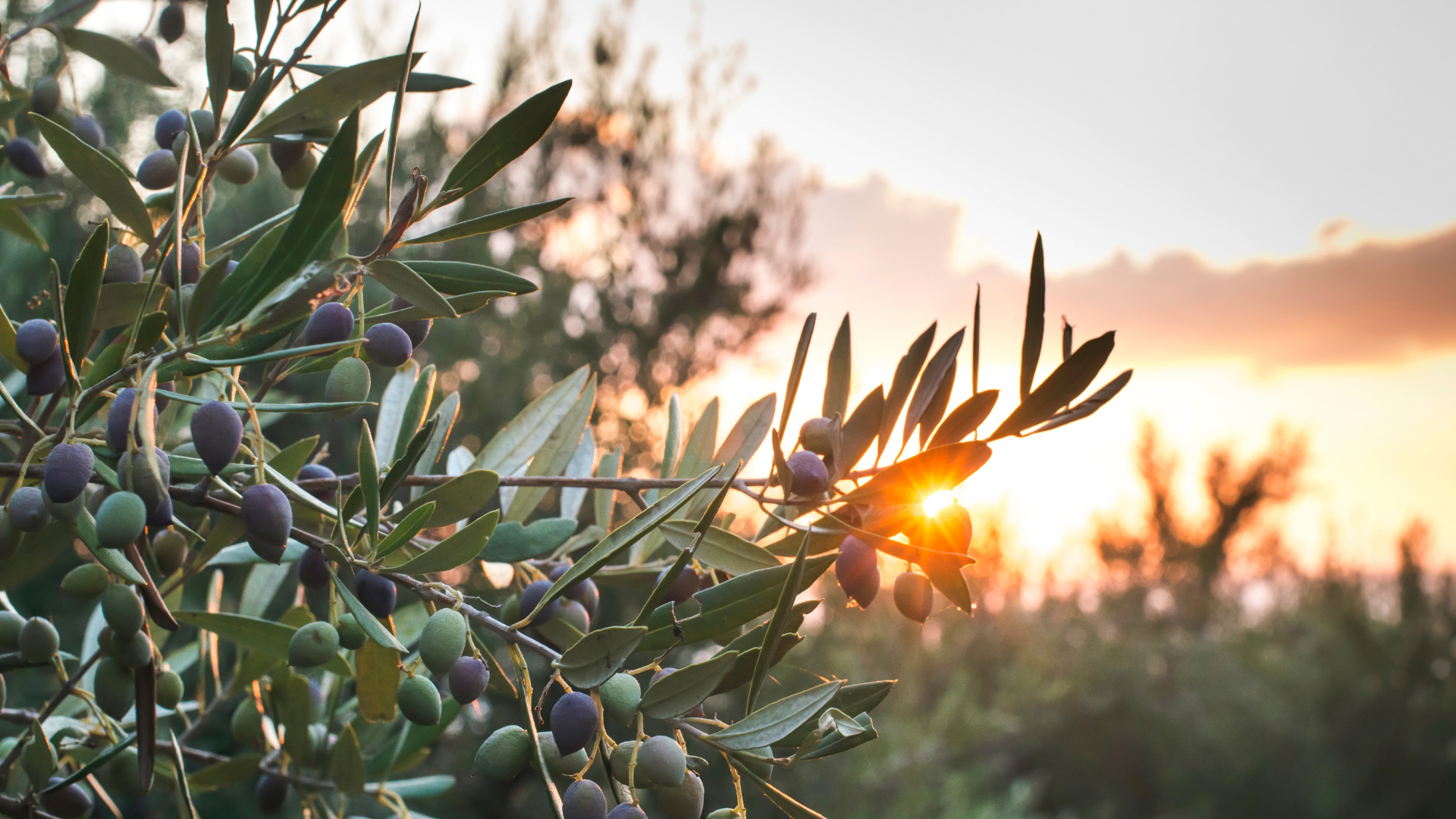 Stopping biodiversity loss through better ecosystem management