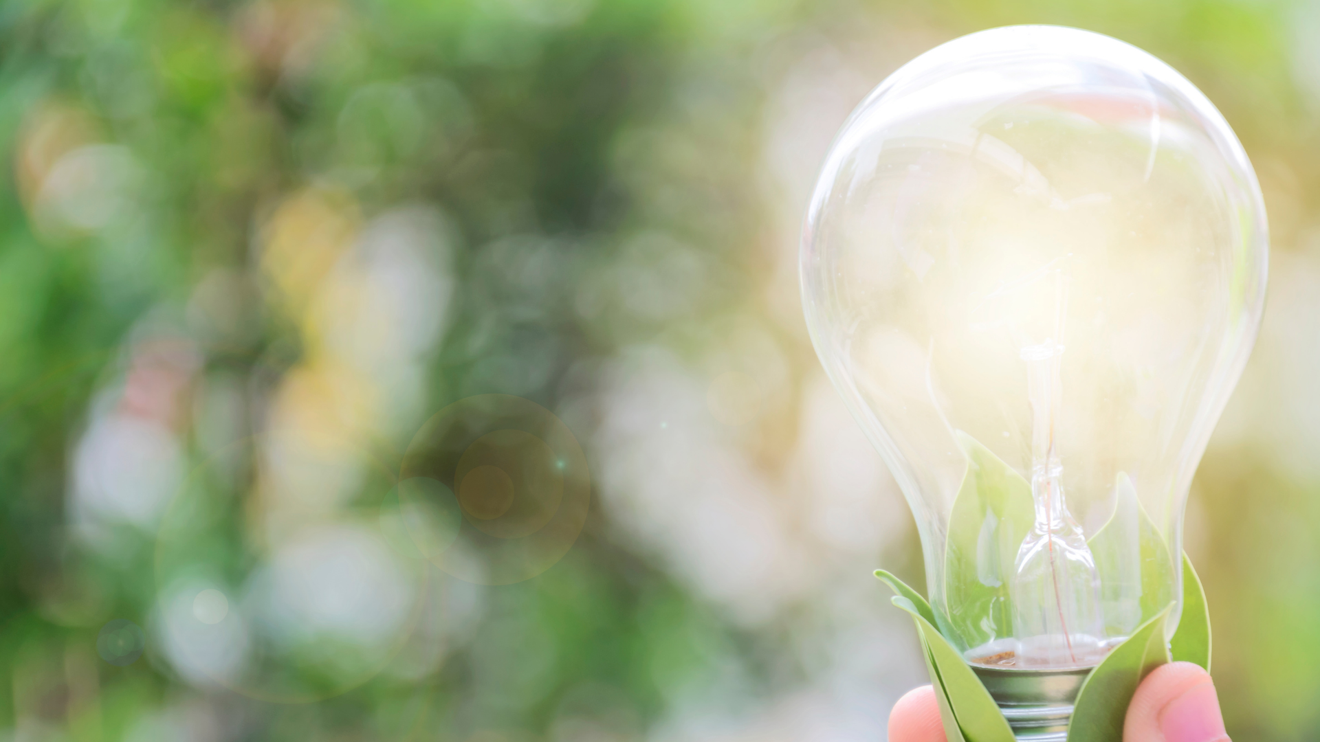 Hand holding a light bulb