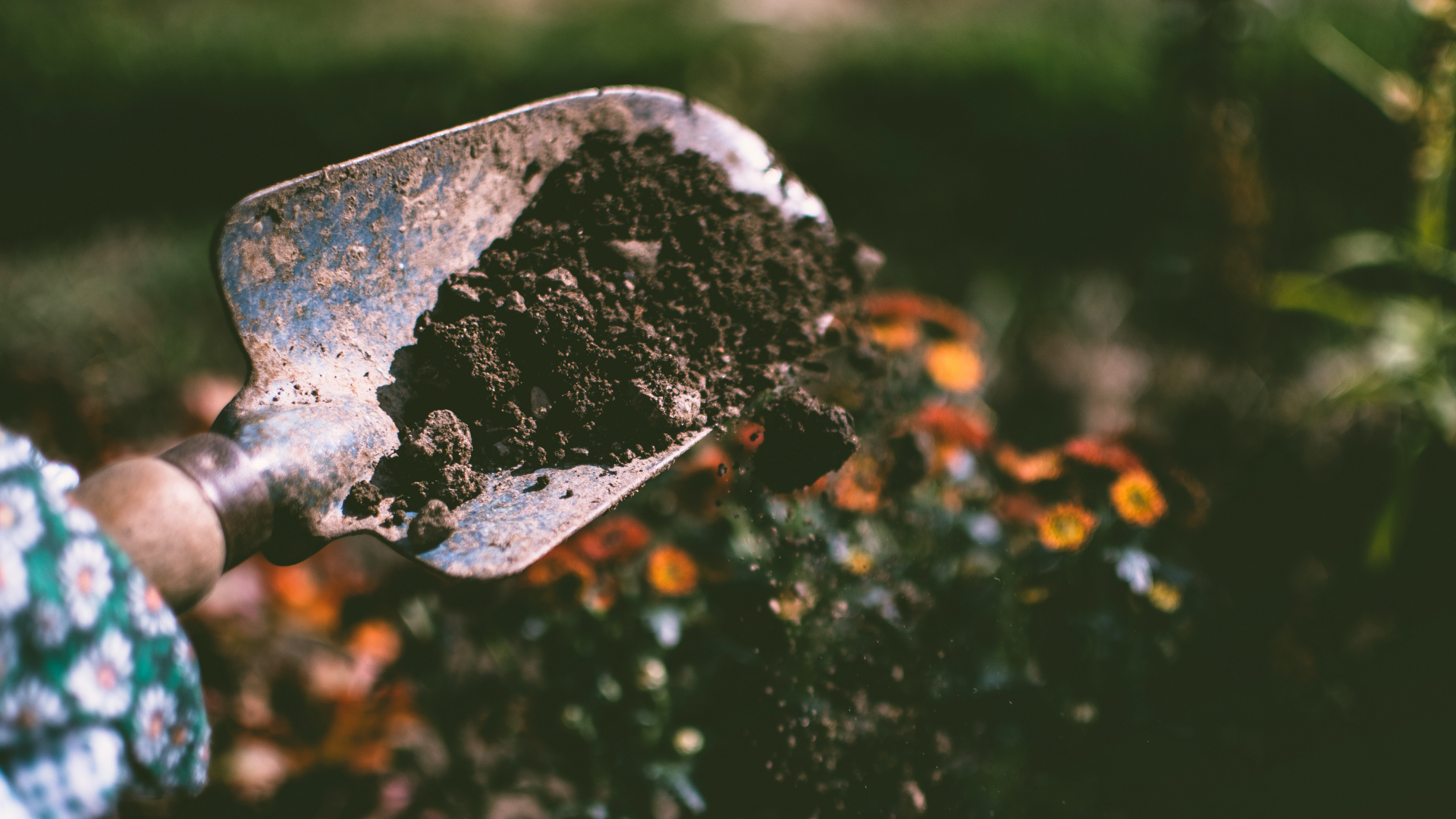 Person digging soil.