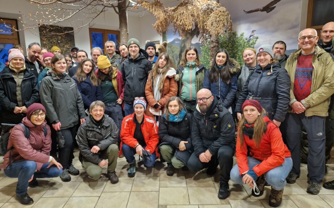 Cooperation is key – First joint conference of the Alpine and the Carpathian Conventions on large carnivores management