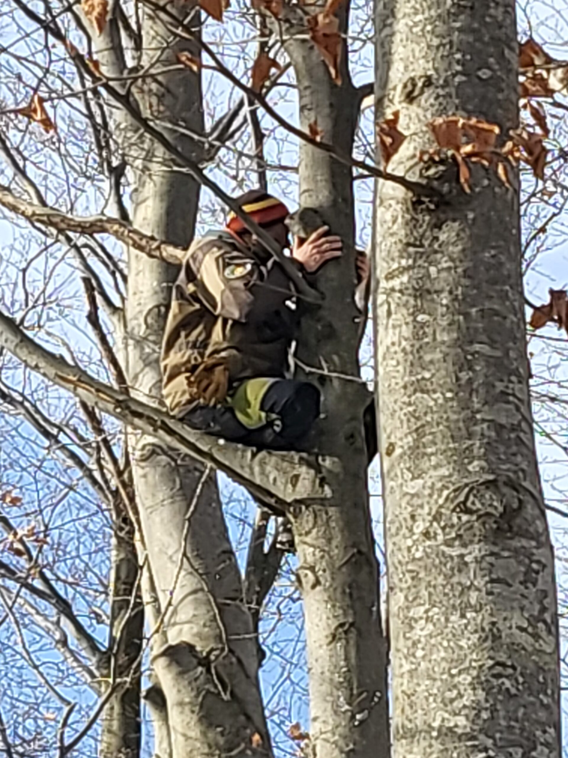 Wildlife Snapshot: Successful lynx photo shoot & Bear-proof containers installed