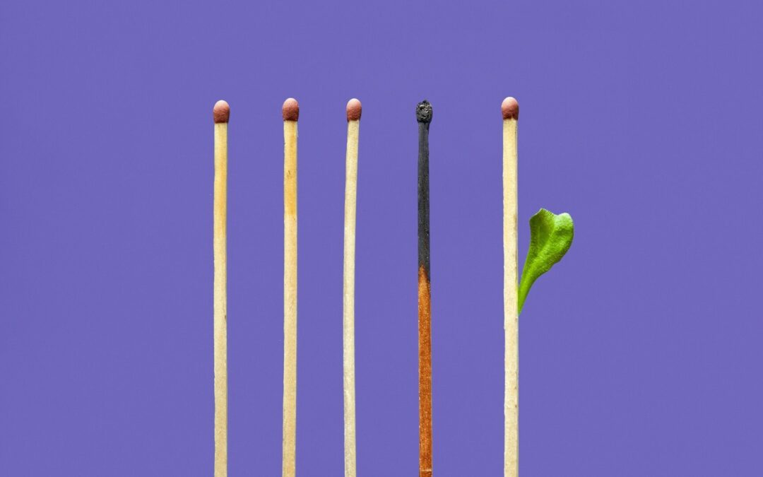 GREENPACT Training for Circular and Impact Entrepreneurship in Croatia