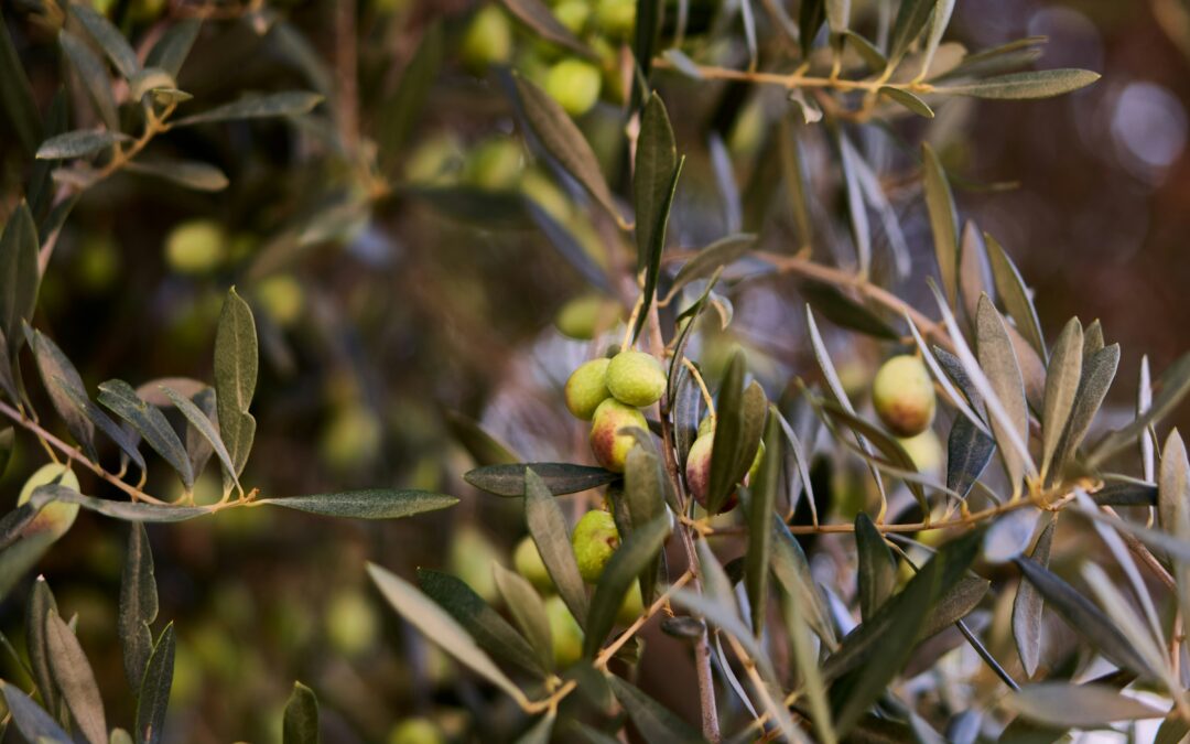 Stopping biodiversity loss through better ecosystem management
