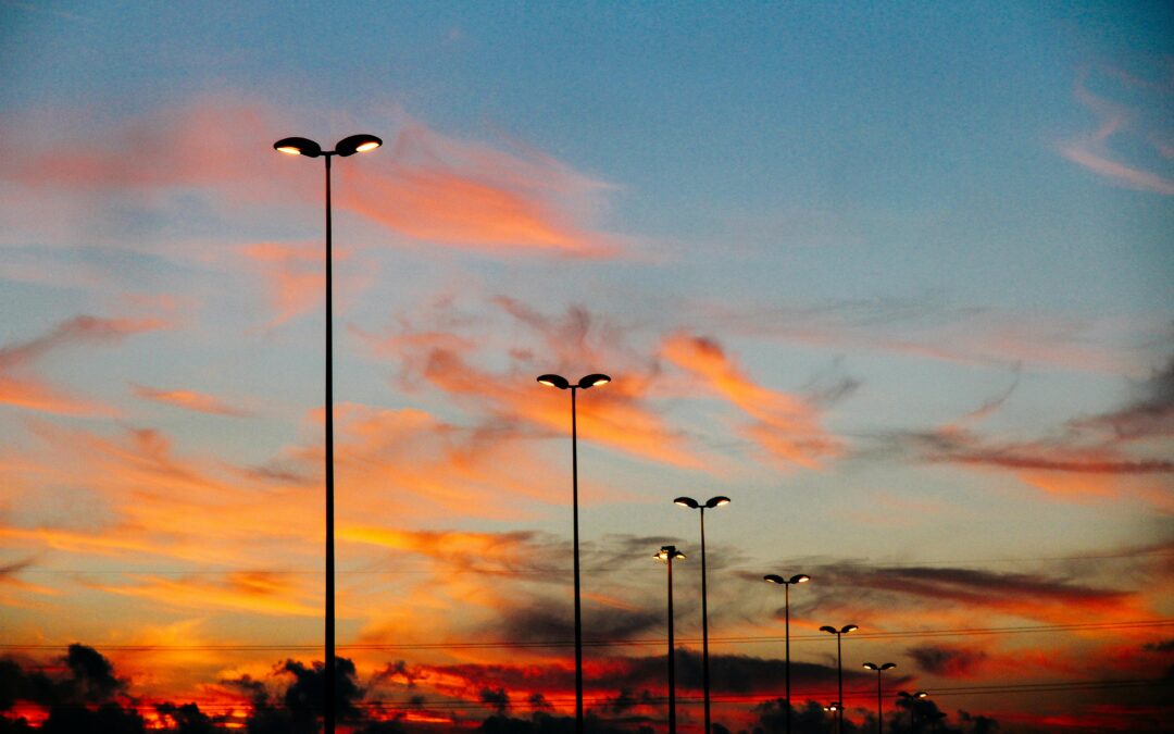 Dimming urban lights to protect ecosystems