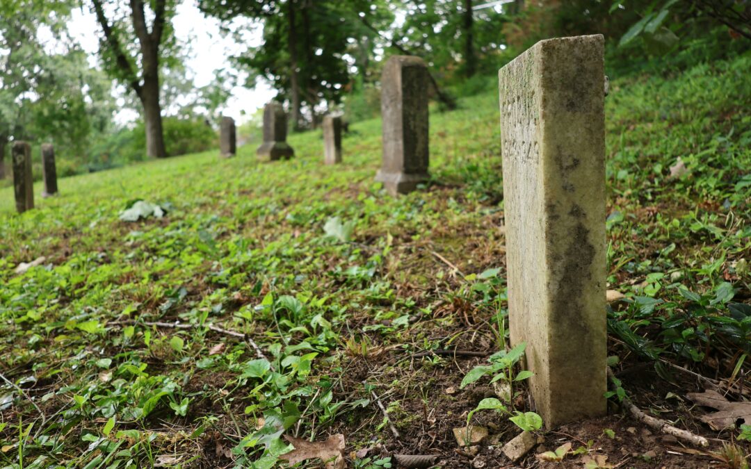 Building on past heritage for future development