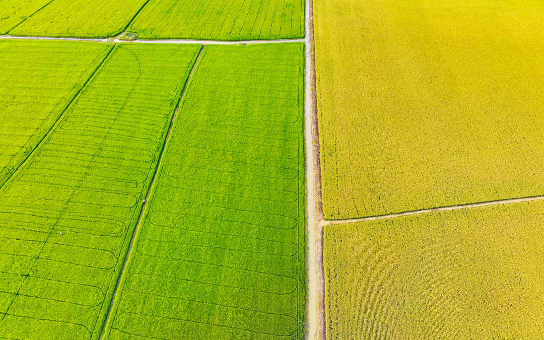 A1.3 Capacity building for carbon farming techniqes – Italy