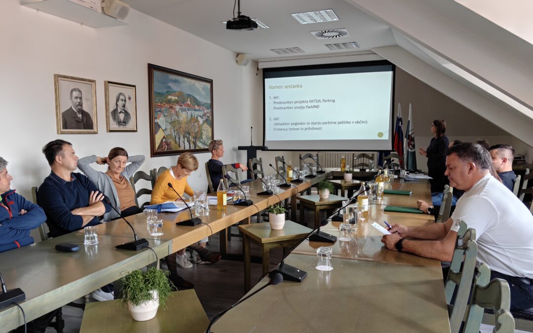 ParkPAD consensus meeting – Ljutomer
