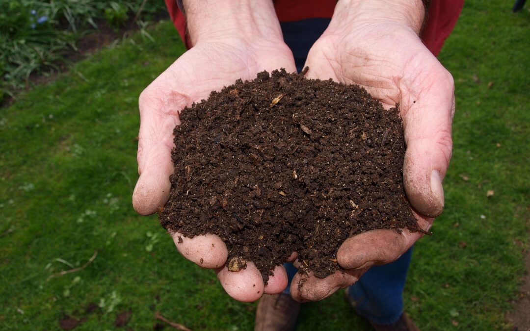 Want to compost? In the city?