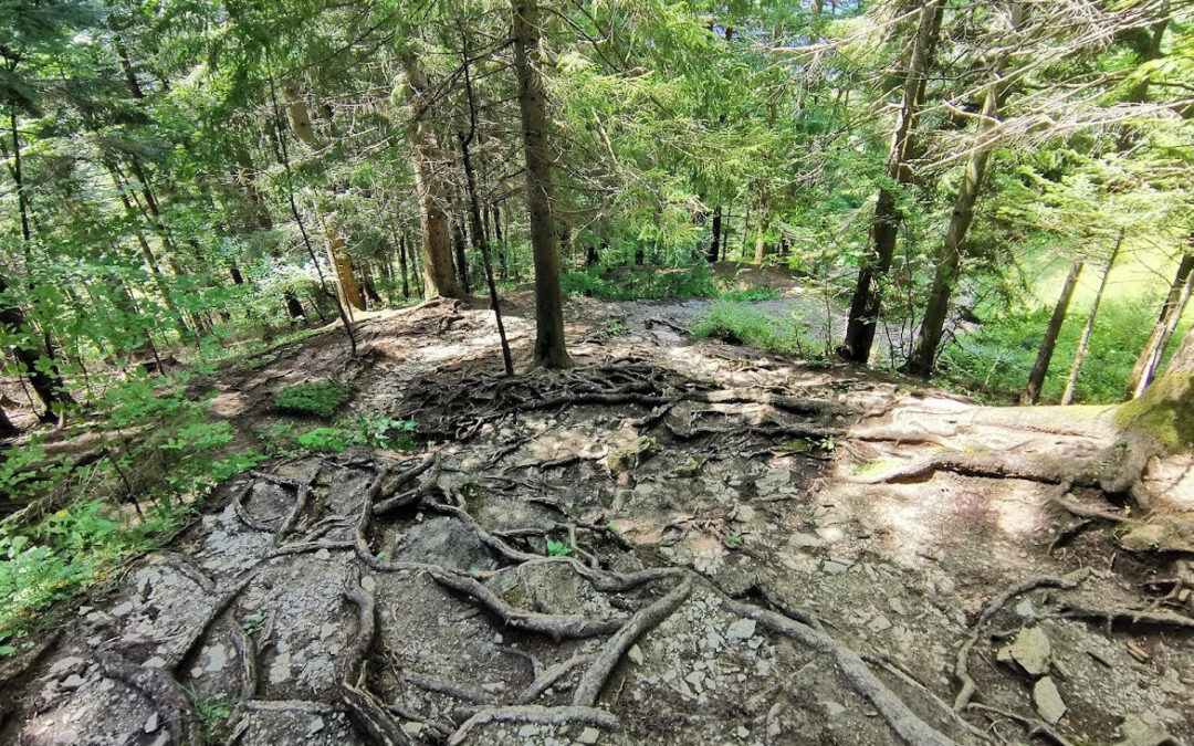 Soil erosion expedition at Slovakia’s Malá Fatra National Park
