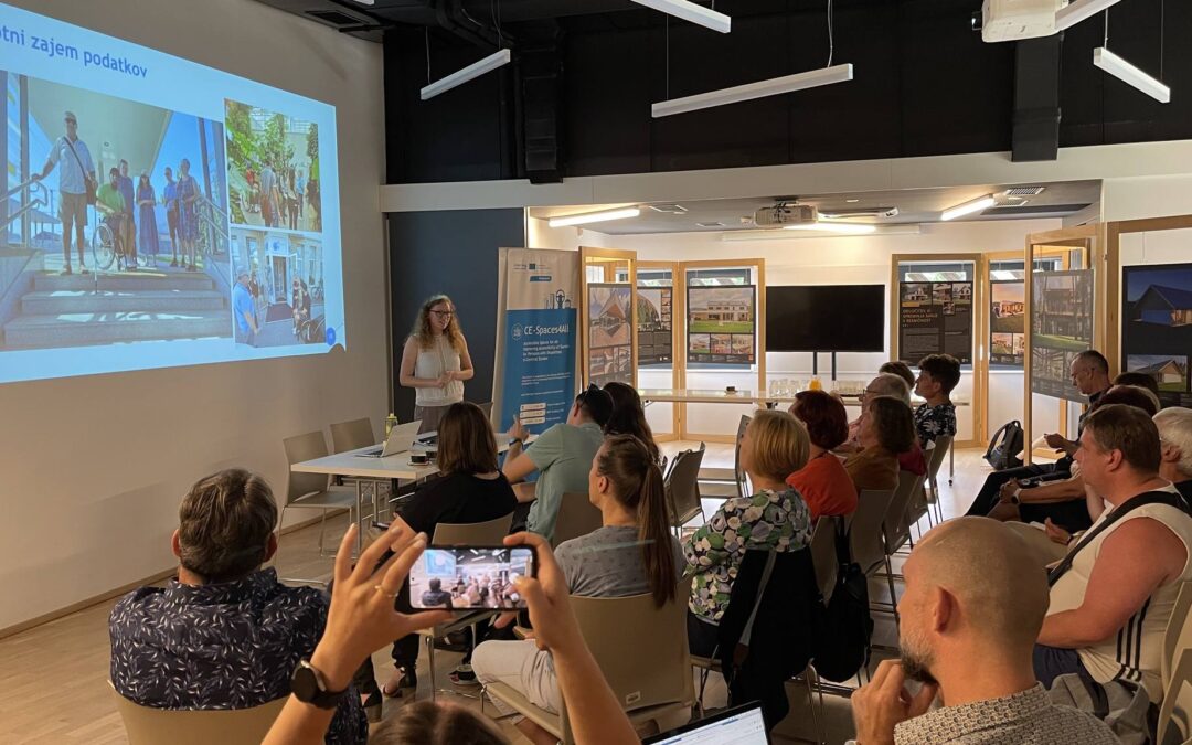 How to work with the online accessibility viewer? That’s what the participants in the Pomurje region, Slovenia learned