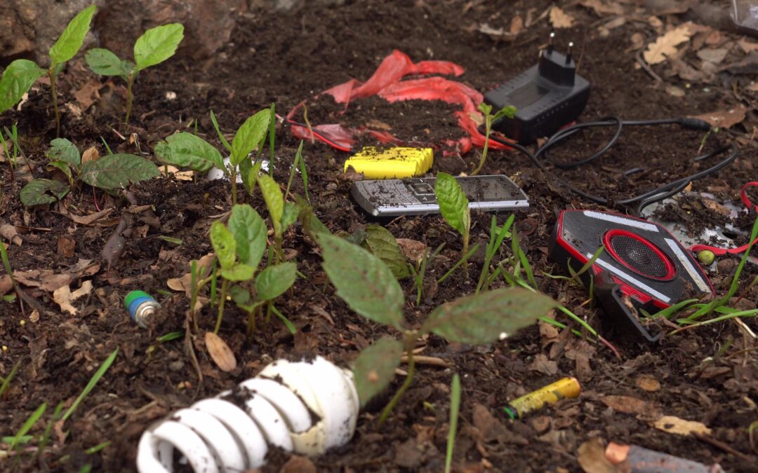 Bringing Ideas into Action: Drafting a Transnational Action Plan