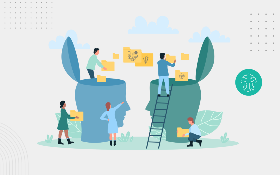 From capacity building to transferable impact