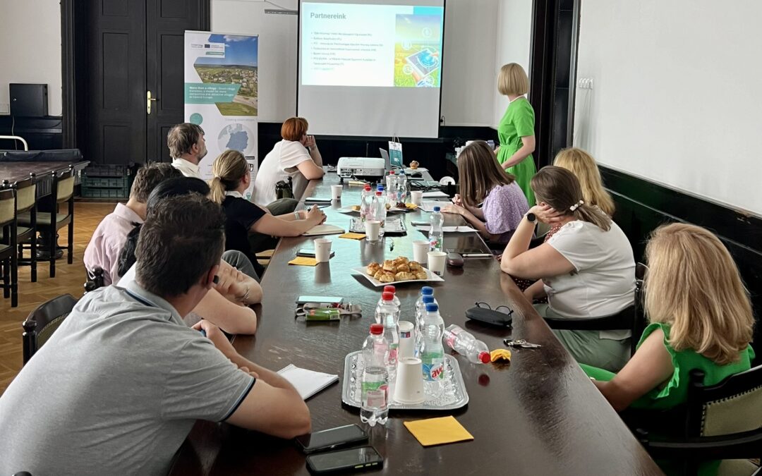Smartness assessment in silver economy – stakeholders engaged to support smart villages