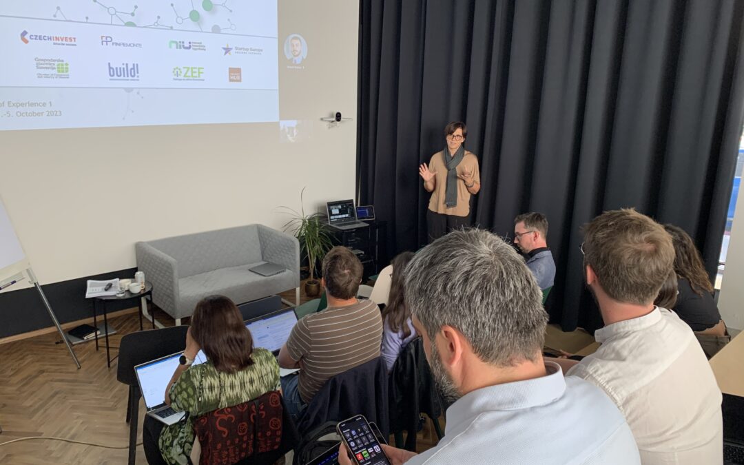From the EU to Local Support: Getting to Know Czech Innovation Ecosystem with an Emphasis on Equity and Loan Instruments