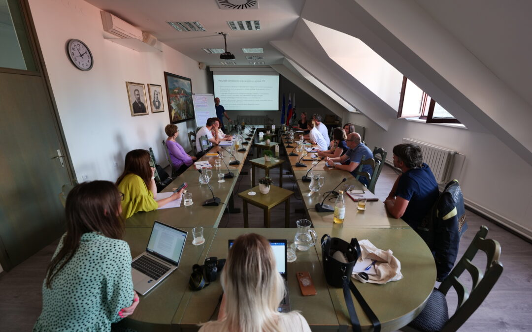 SUMP workshop on vision and objectives – Ljutomer