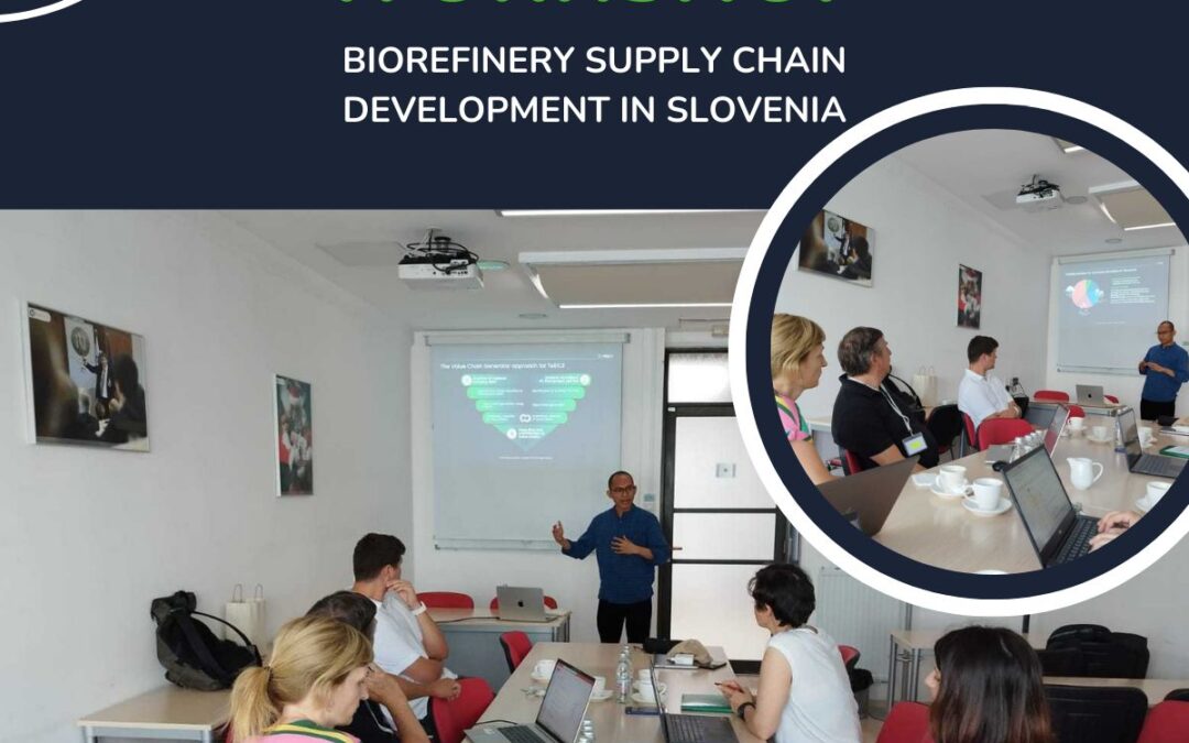 TeBiCE workshop in Slovenia
