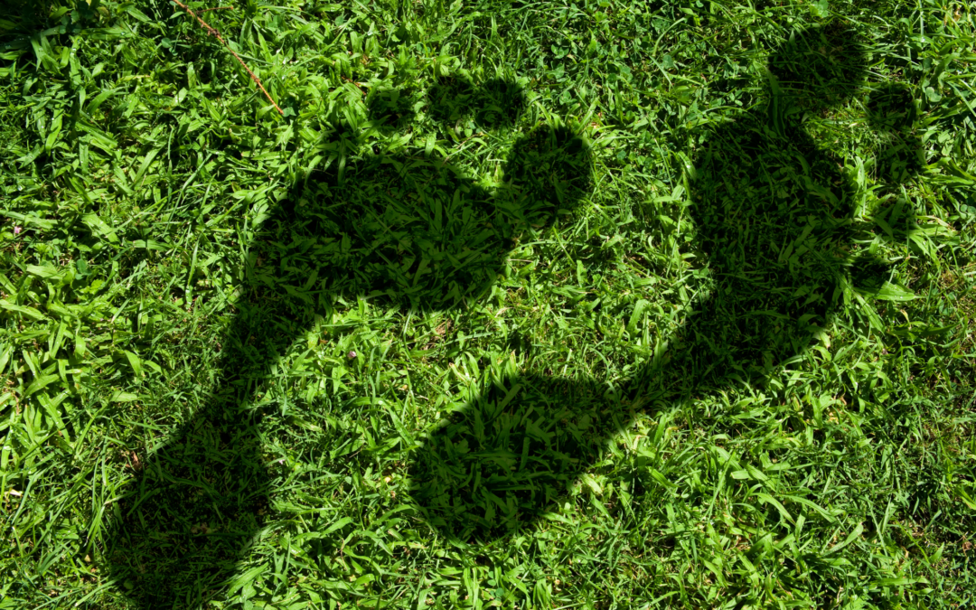 Carbon Farming CE recognized by the European Commission!