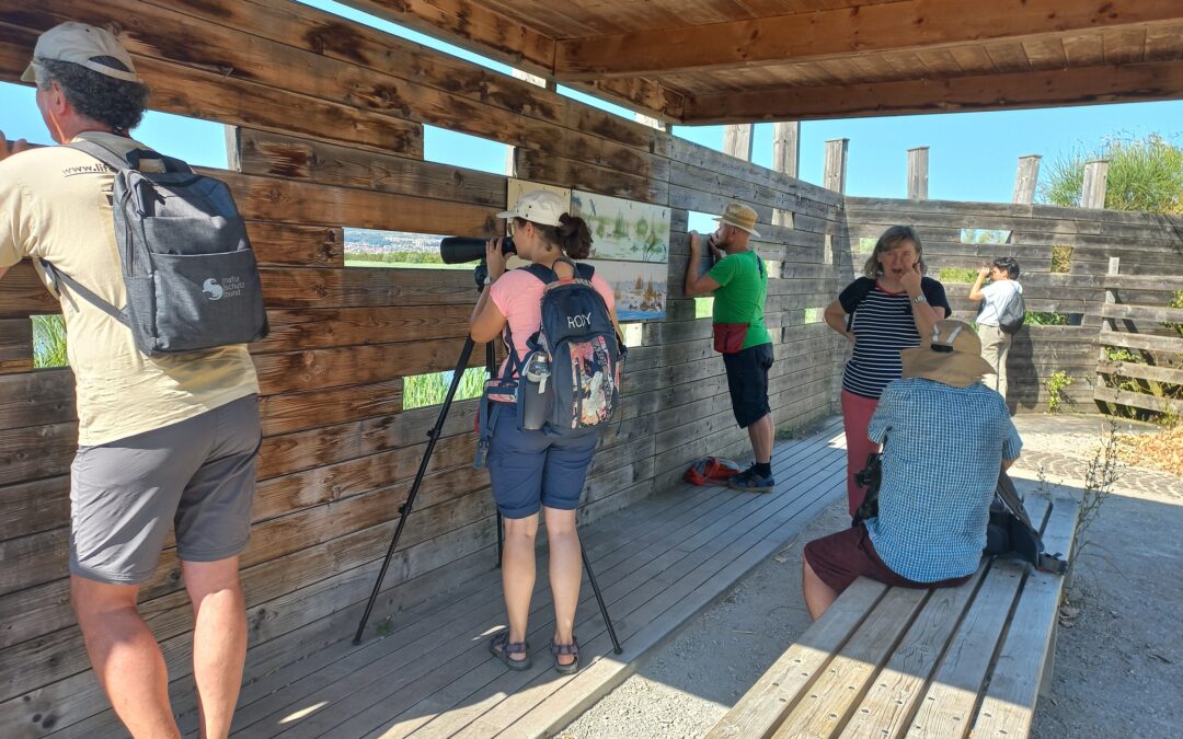 1st peer review of the project in the Škocjanski zatok Nature Reserve