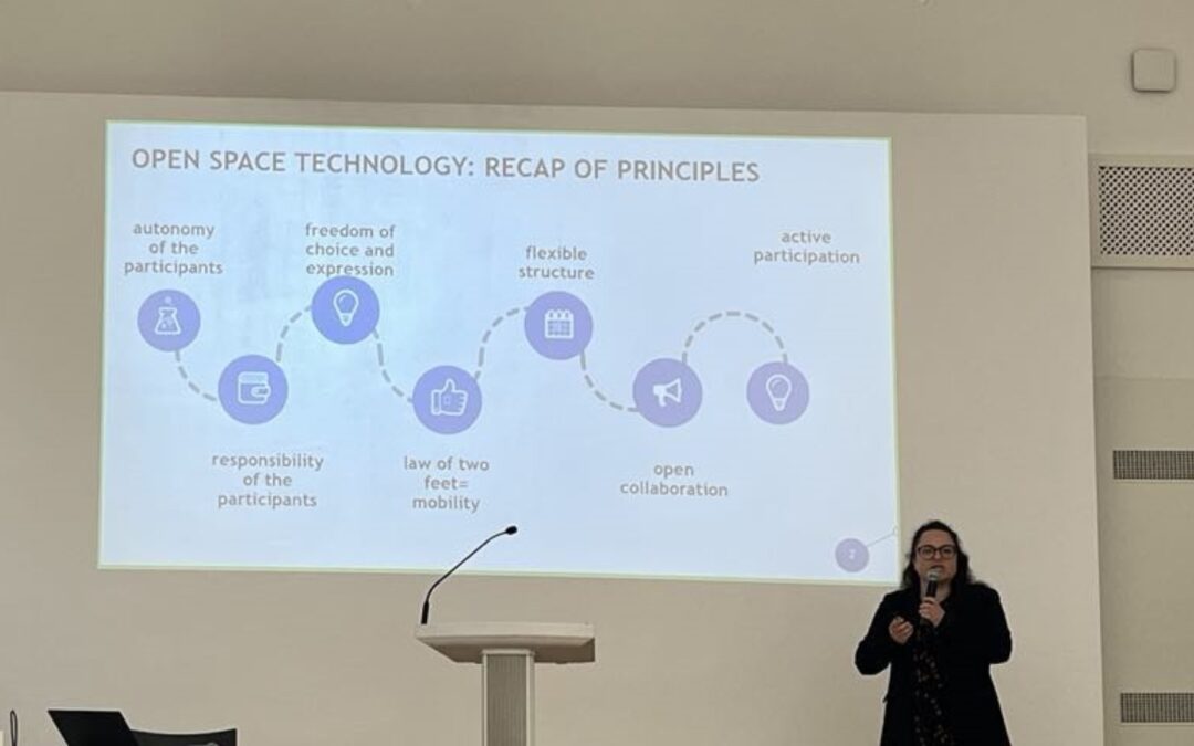 Open Space Technology (OST) simulation during the third PM in Vienna