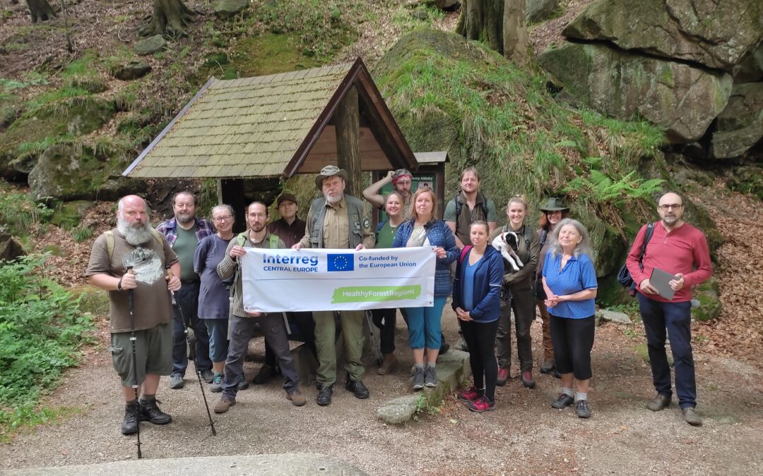 2nd Interpretive Guide Course in Jizera Mountains