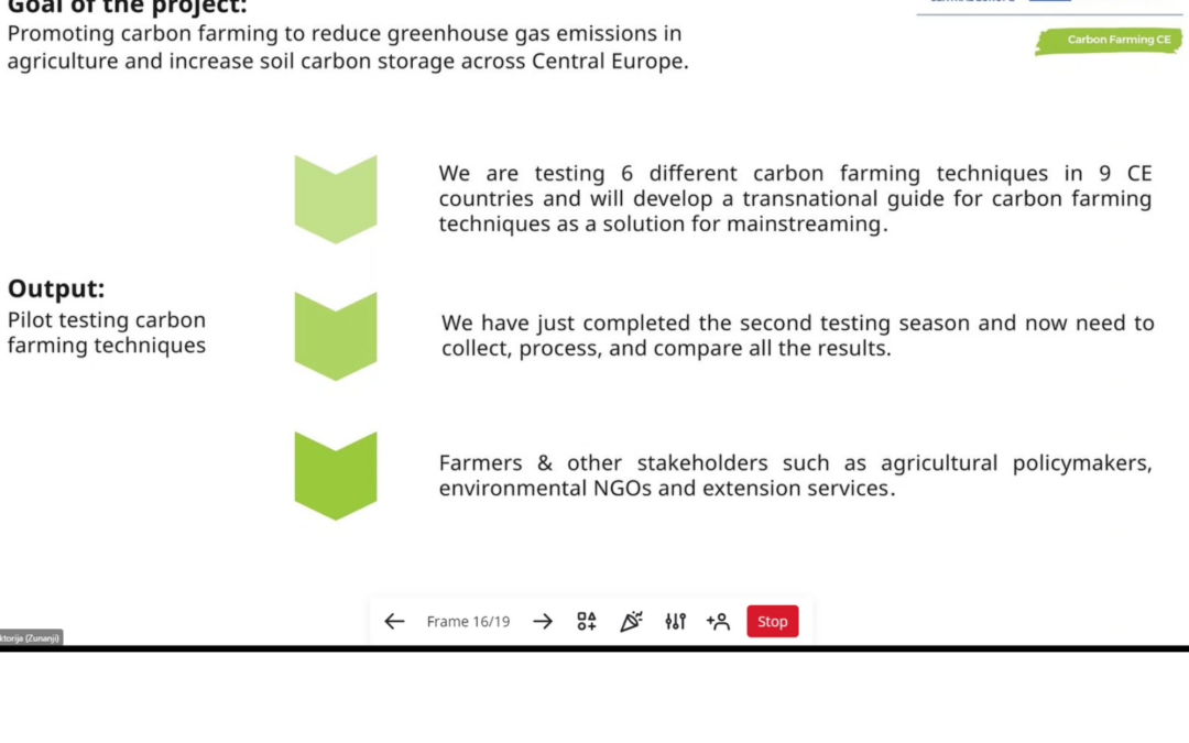 Carbon Farming CE Project Participates in Synergies Roundtable on Supporting Climate-Neutral Energy Transition