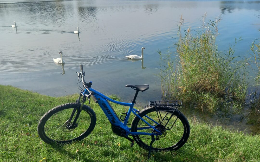 Halfway Milestone for the ICTR-CE Project: Koprivnica Highlights Cycling Tourism and Local Engagement
