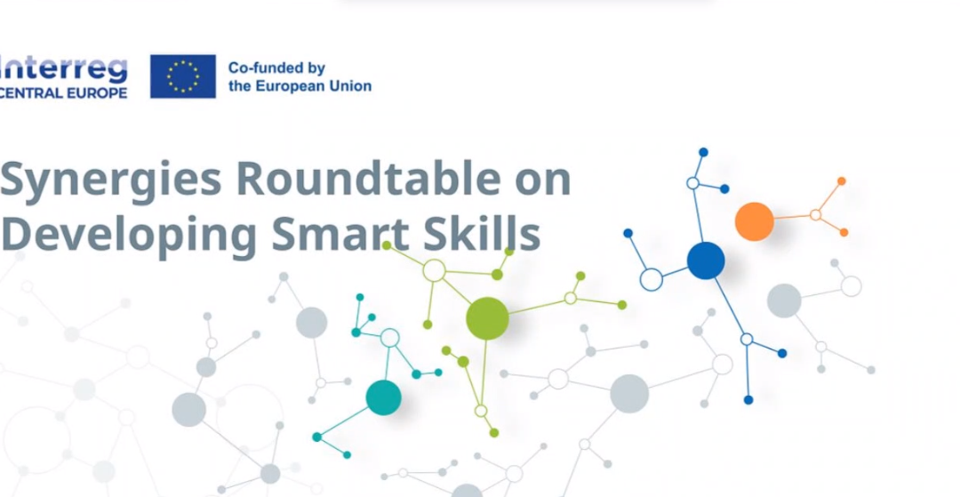 Digi-B-Well Joins Smart Skills Synergies Roundtable
