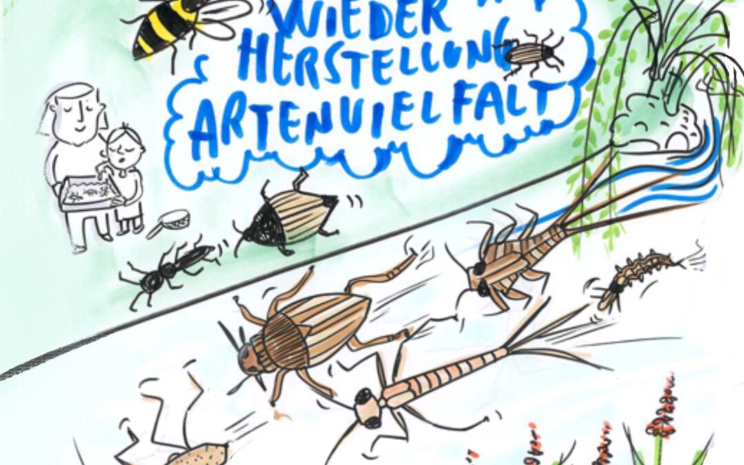 Successfull Stakeholder kick-off in Dresden