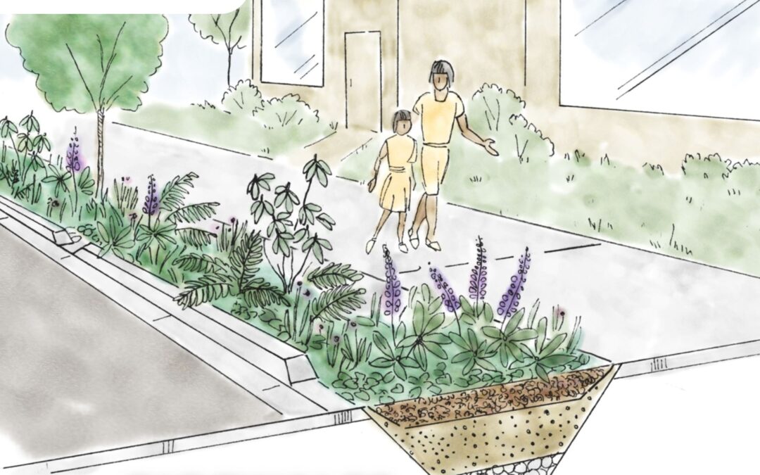 Bioswales: Nature’s Solution for Sustainable Stormwater Management and Urban Biodiversity