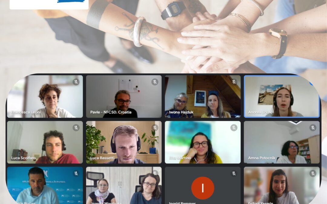 Moving Forward Together: 3P4SSE Steering Committee Meeting