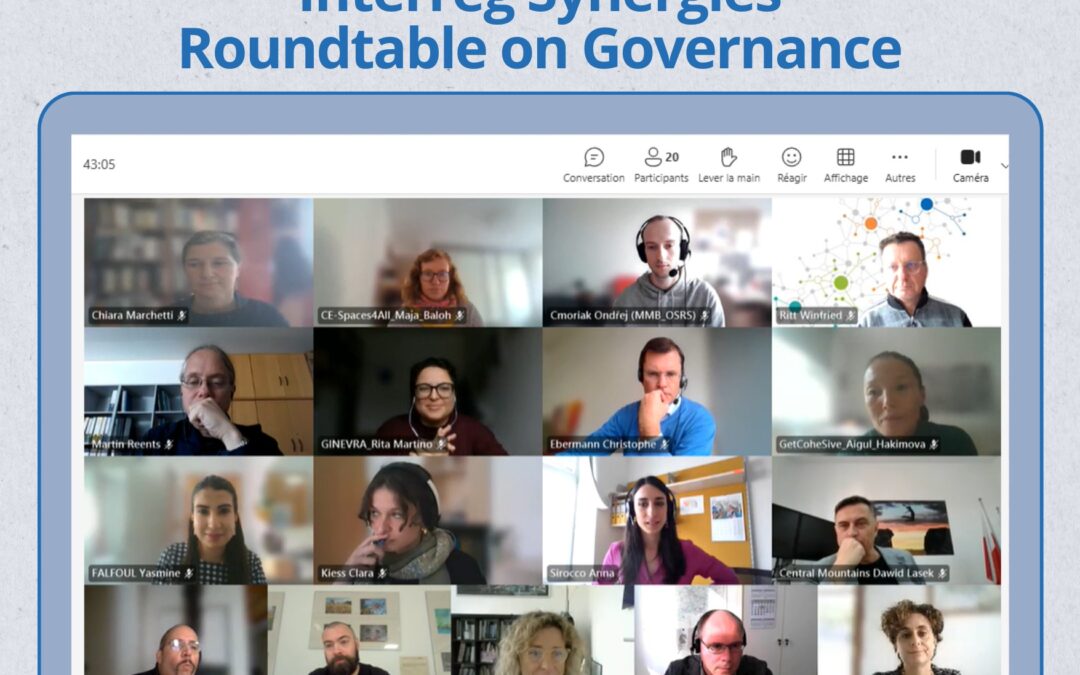 3P4SSE at the Online Synergies Roundtable on Governance